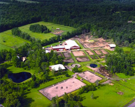 View of the farm from the sky